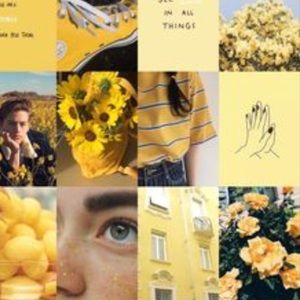 Meet your Posher, Tru